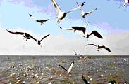 tour-bangpu-place-1-samut-prakan