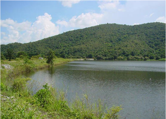 sa reed pong dam sukhothai 1