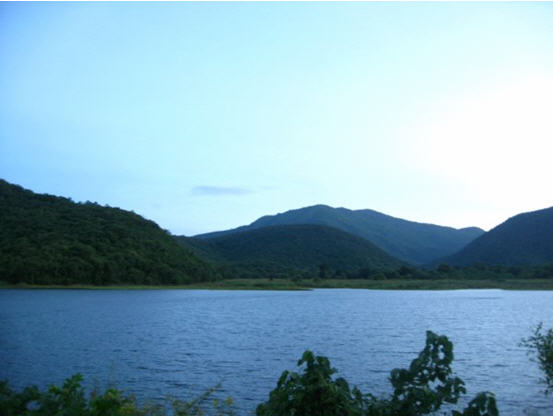 sa reed pong dam sukhothai