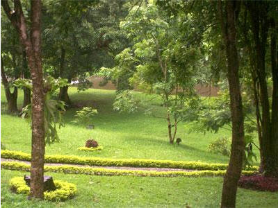 sri sad cha na lai national park sukhothai