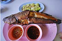 surachai-fish-burn