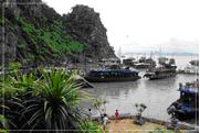 ทัวร์ ฮาลองเบย์ ประเทศเวียดนาม tour-halongbe-vietnam-3