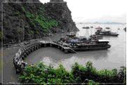 ทัวร์ ฮาลองเบย์ ประเทศเวียดนาม tour-halongbe-vietnam-4