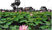 tour-don-det-laos