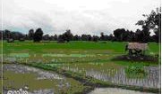 tour-don-det-laos