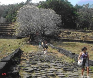 tour-prasat-wat-phu-laos-3