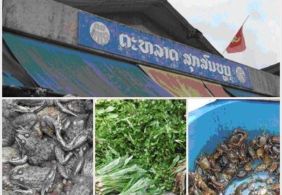 tour-lak-sam-markets-laos