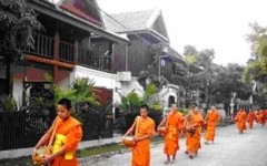 tour-lotus-villa-hotel-laos