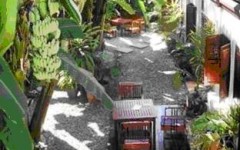 tour-lotus-villa-hotel-laos