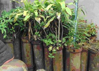 tour-poo-kham-guesthouse-laos