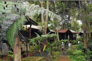 tour-tad-fane-resort-laos