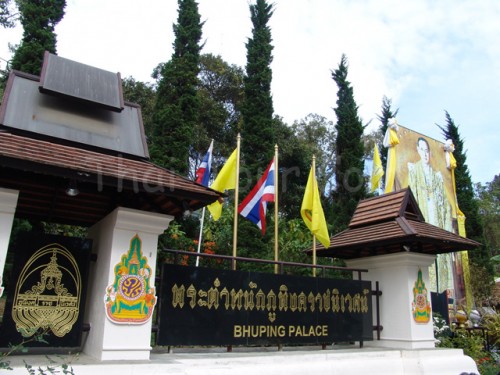 tour-phupingratchaniwet-chiang-mai