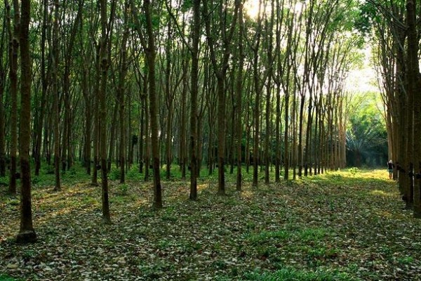 tour-ton-yang-trang