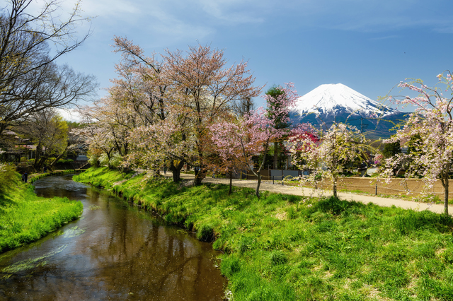 8955-tour-of-japan-by-train-pic-up-fruits-in-season-watch-mt-fuji-6-days-tg