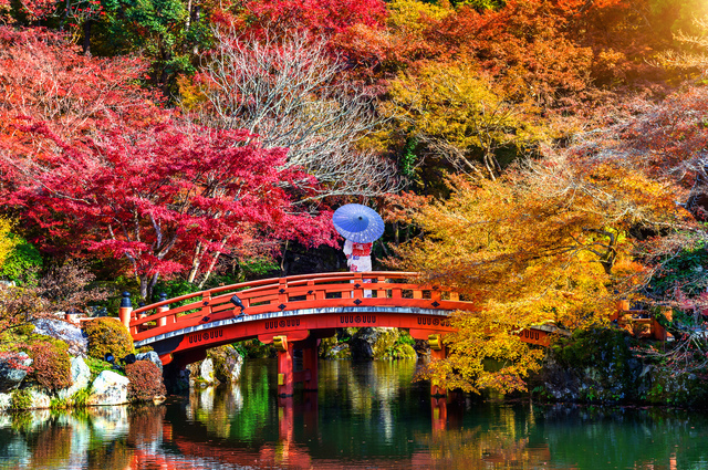 8977-tour-japan-ninja-village-see-leaves-change-color-tokushima-koji-5-days-tg