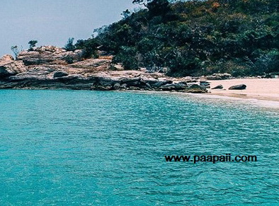 www.paapaii.comเกาะไผ่