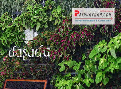 www.paiduaykan.comดาษดา