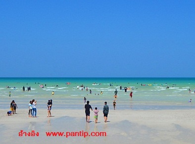 www.pantip.comหาดเตยงาม