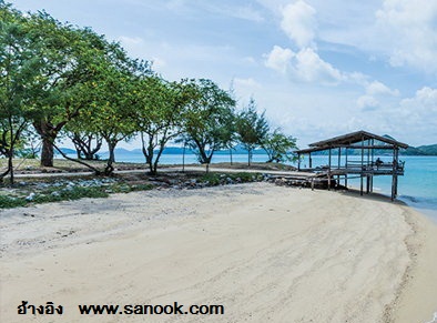 www.sanook.comเกาะแสมสาร