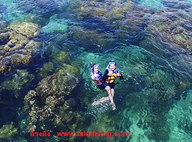 www.taludiving.comเกาะทะลุ