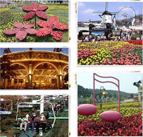 ทัวร์ คำแนะนำการเดินทาง เกาหลี tour-instruction-korea