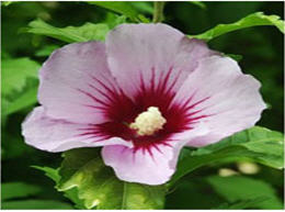 ทัวร์ คำแนะนำการเดินทาง เกาหลี tour-instruction-korea