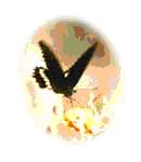 ทัวร์ ประวัติ อื่นๆ จังหวัดฉะเชิงเทรา tour history miscelleneous chachoengsao 2