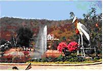 tour-chai-nat-bird-park-chai-nat