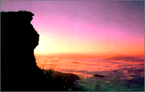 ทัวร์ ภูชี้ฟ้า จังหวัดเชียงราย tour-phucheefa-chiang-rai