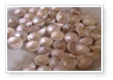 tour-hattakumsilver-kamphaeng-phet