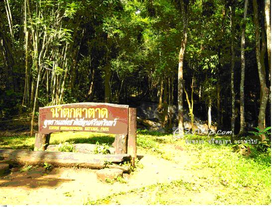 tour-pha-tat-waterfall-1-kanchanaburi