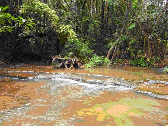 tour-sai-yok-national-park-2-kanchanaburi