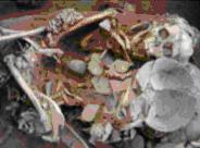 tour-baan-pong-manow-open-museum-lop-buri