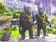 tour-lopburi-zoo-lop-buri