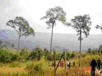 tour-wildlife-sanctuary-sublangka-lop-buri