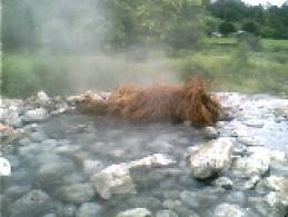 tour-pong-nam-ron-muang-pang-mae-hong-son