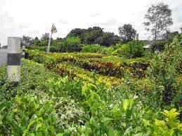 tour-flower-center-2-nakhon-nayok