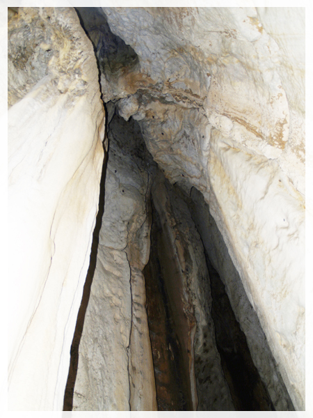 tour-pet-cave-tong-cave-nakhon-sawan