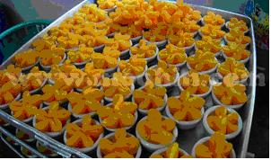 tour-baan-khun-aeo-thai-dessert-1-nonthaburi