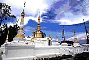 tour-wat-jaedee-thong-pathum-thani