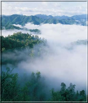 tour-nam-now-national-park-phetchabun