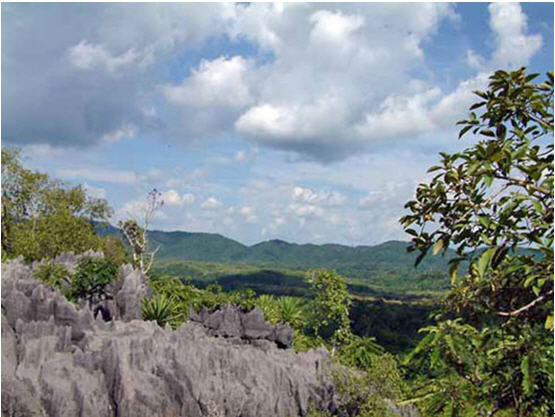 tour phu khao hin pakalang phrae