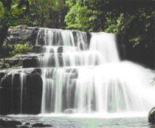 tour-pang-sida-national-park-sa-kaeo