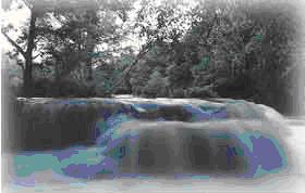 tour-arboretum-park-saraburi