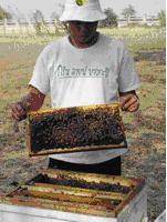 ทัวร์ เที่ยวฟาร์มผึ้ง จังหวัดสระบุรี tour-bee-farm-1-saraburi