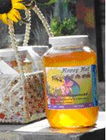 ทัวร์ เที่ยวฟาร์มผึ้ง จังหวัดสระบุรี tour-bee-farm-2-saraburi