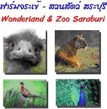 ทัวร์ ฟาร์มจระเข้ - สวนสัตว์ พระพุทธฉาย จังหวัดสระุบุรี tour-crocodile-farm-zoo-saraburi