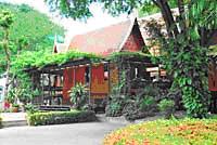 tour-giant-tamarind-wat-care-2-suphan-buri