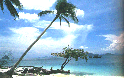 tour-kradarn-island-trang