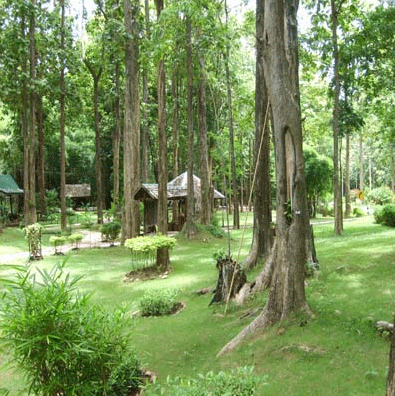 ทัวร์ วนอุทยานสักใหญ่ อุตรดิตถ์ tour-sak-yai-park-uttaradit